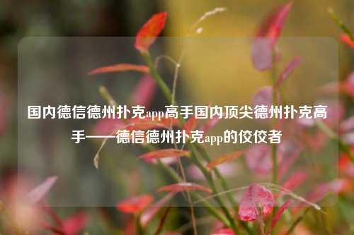 国内德信德州扑克app高手国内顶尖德州扑克高手——德信德州扑克app的佼佼者