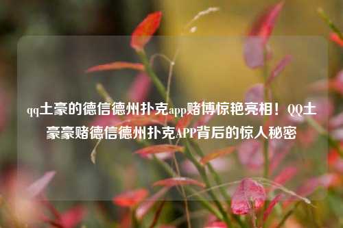 qq土豪的德信德州扑克app赌博惊艳亮相！QQ土豪豪赌德信德州扑克APP背后的惊人秘密