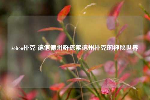 sohoo扑克 德信德州群探索德州扑克的神秘世界