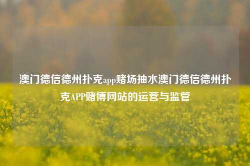 澳门德信德州扑克app赌场抽水澳门德信德州扑克APP赌博网站的运营与监管
