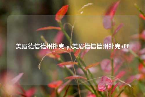 美眉德信德州扑克app美眉德信德州扑克APP