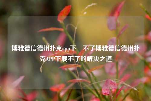 博雅德信德州扑克app下載不了博雅德信德州扑克APP下载不了的解决之道