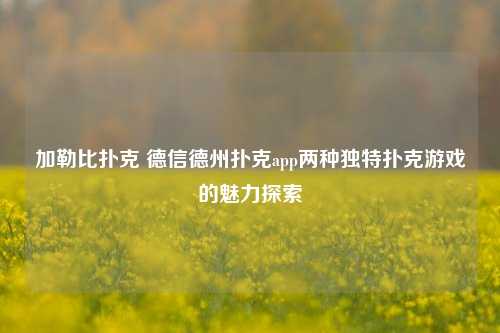 加勒比扑克 德信德州扑克app两种独特扑克游戏的魅力探索