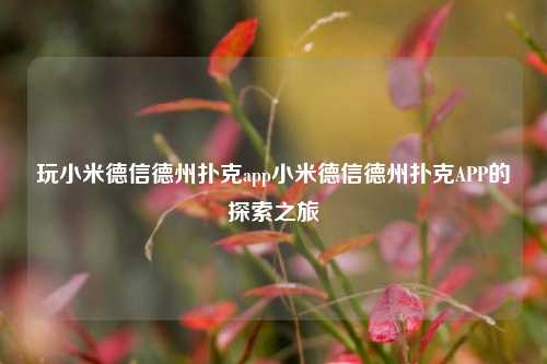 玩小米德信德州扑克app小米德信德州扑克APP的探索之旅
