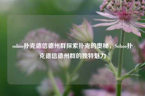sohoo扑克德信德州群探索扑克的奥秘，Sohoo扑克德信德州群的独特魅力