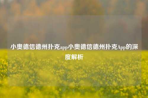 小奥德信德州扑克app小奥德信德州扑克App的深度解析