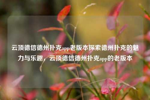 云顶德信德州扑克app老版本探索德州扑克的魅力与乐趣，云顶德信德州扑克app的老版本