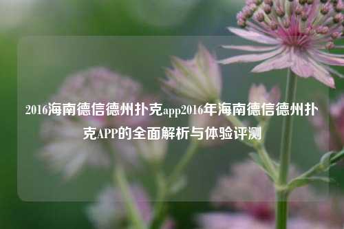 2016海南德信德州扑克app2016年海南德信德州扑克APP的全面解析与体验评测