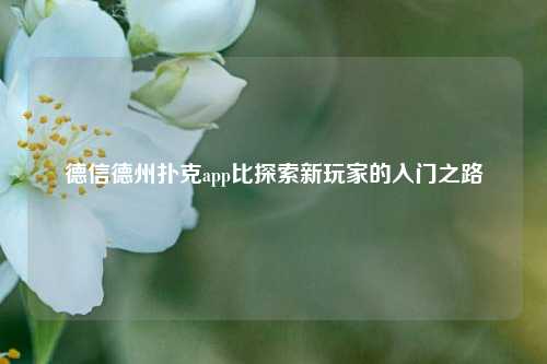 德信德州扑克app比探索新玩家的入门之路