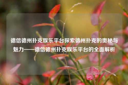 德信德州扑克娱乐平台探索德州扑克的奥秘与魅力——德信德州扑克娱乐平台的全面解析