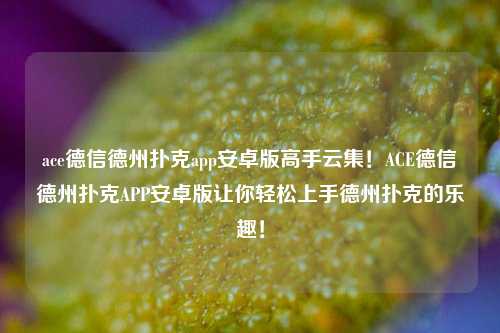 ace德信德州扑克app安卓版高手云集！ACE德信德州扑克APP安卓版让你轻松上手德州扑克的乐趣！