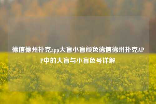 德信德州扑克app大盲小盲颜色德信德州扑克APP中的大盲与小盲色号详解