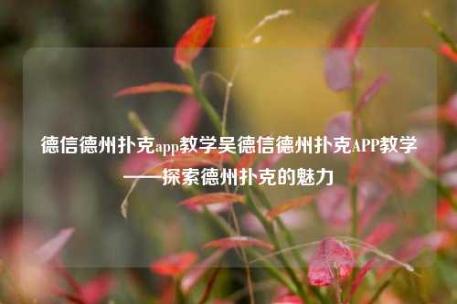 德信德州扑克app教学吴德信德州扑克APP教学——探索德州扑克的魅力