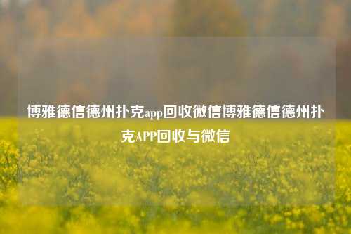 博雅德信德州扑克app回收微信博雅德信德州扑克APP回收与微信