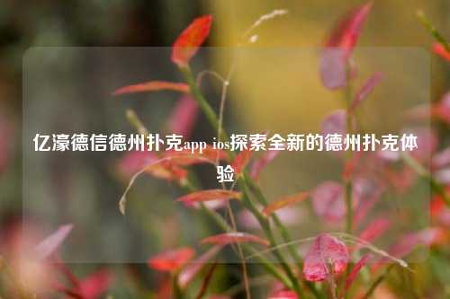 亿濠德信德州扑克app ios探索全新的德州扑克体验
