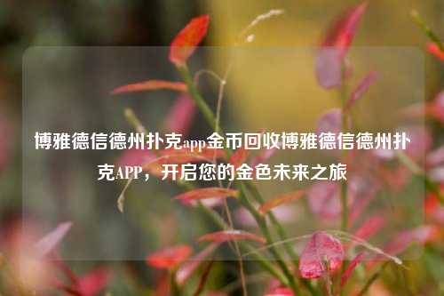 博雅德信德州扑克app金币回收博雅德信德州扑克APP，开启您的金色未来之旅
