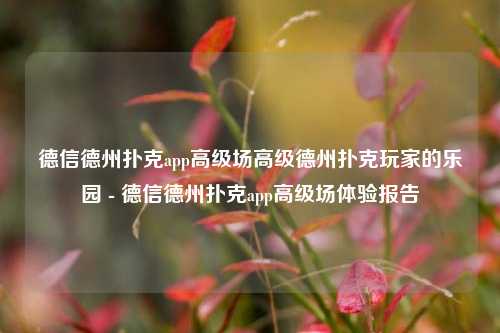 德信德州扑克app高级场高级德州扑克玩家的乐园 - 德信德州扑克app高级场体验报告