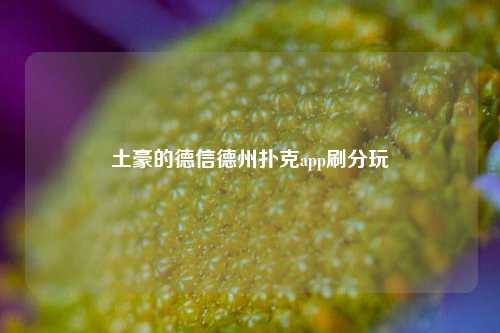土豪的德信德州扑克app刷分玩