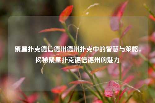 聚星扑克德信德州德州扑克中的智慧与策略，揭秘聚星扑克德信德州的魅力