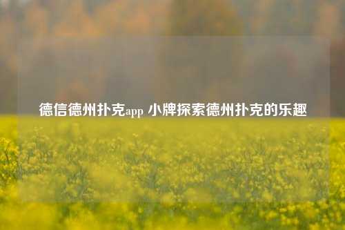 德信德州扑克app 小牌探索德州扑克的乐趣