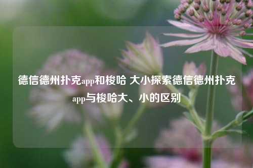 德信德州扑克app和梭哈 大小探索德信德州扑克app与梭哈大、小的区别