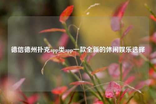 德信德州扑克app类app一款全新的休闲娱乐选择