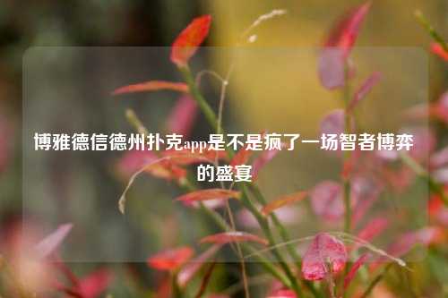 博雅德信德州扑克app是不是疯了一场智者博弈的盛宴