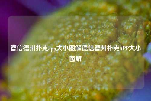 德信德州扑克app大小图解德信德州扑克APP大小图解