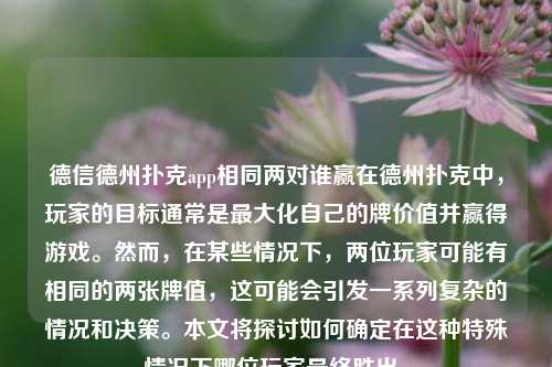 德信德州扑克app相同两对谁赢在德州扑克中，玩家的目标通常是最大化自己的牌价值并赢得游戏。然而，在某些情况下，两位玩家可能有相同的两张牌值，这可能会引发一系列复杂的情况和决策。本文将探讨如何确定在这种特殊情况下哪位玩家最终胜出。