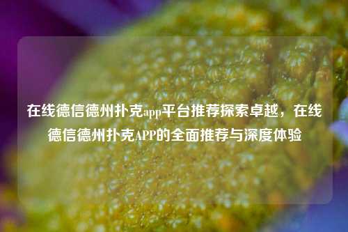在线德信德州扑克app平台推荐探索卓越，在线德信德州扑克APP的全面推荐与深度体验