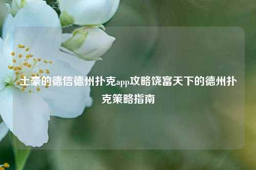 土豪的德信德州扑克app攻略饶富天下的德州扑克策略指南