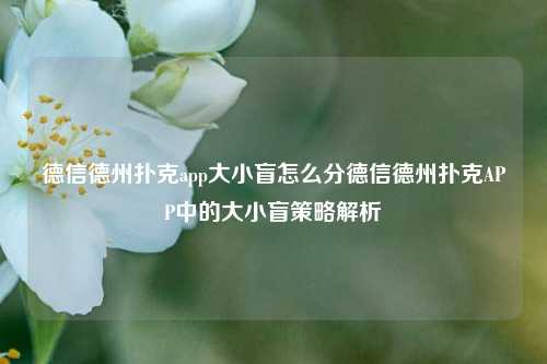 德信德州扑克app大小盲怎么分德信德州扑克APP中的大小盲策略解析
