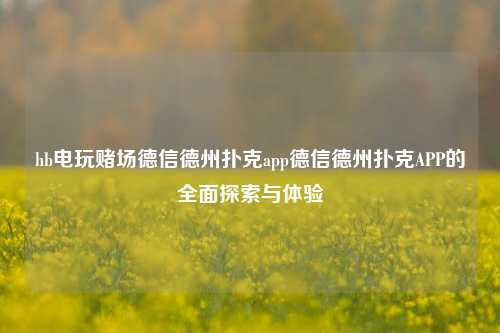 hb电玩赌场德信德州扑克app德信德州扑克APP的全面探索与体验