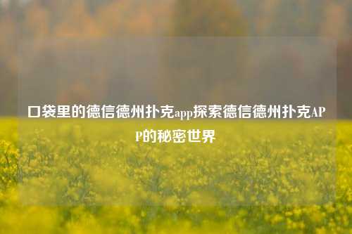 口袋里的德信德州扑克app探索德信德州扑克APP的秘密世界