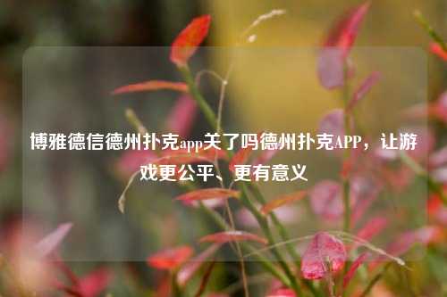 博雅德信德州扑克app关了吗德州扑克APP，让游戏更公平、更有意义