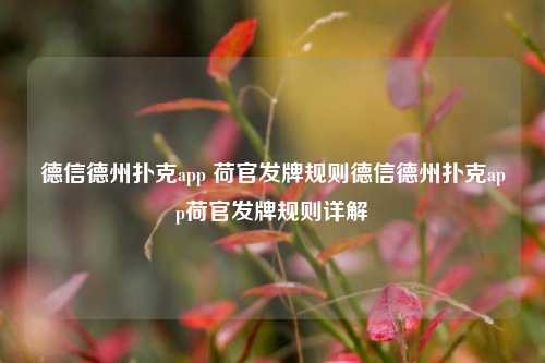 德信德州扑克app 荷官发牌规则德信德州扑克app荷官发牌规则详解