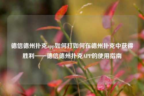 德信德州扑克app如何打如何在德州扑克中获得胜利——德信德州扑克APP的使用指南
