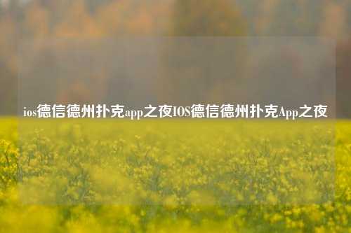 ios德信德州扑克app之夜IOS德信德州扑克App之夜