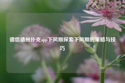 德信德州扑克app下风期探索下风期的策略与技巧