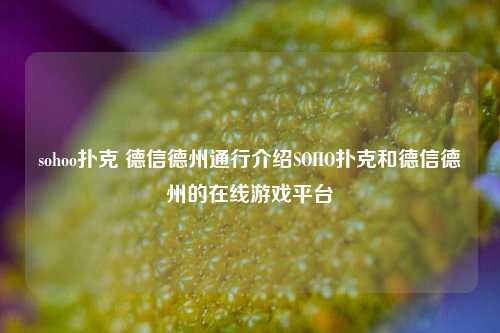 sohoo扑克 德信德州通行介绍SOHO扑克和德信德州的在线游戏平台