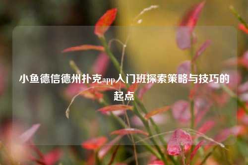 小鱼德信德州扑克app入门班探索策略与技巧的起点
