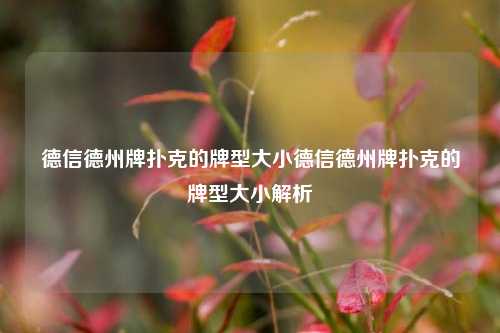 德信德州牌扑克的牌型大小德信德州牌扑克的牌型大小解析