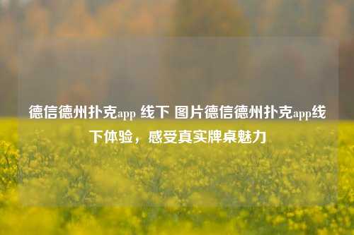 德信德州扑克app 线下 图片德信德州扑克app线下体验，感受真实牌桌魅力