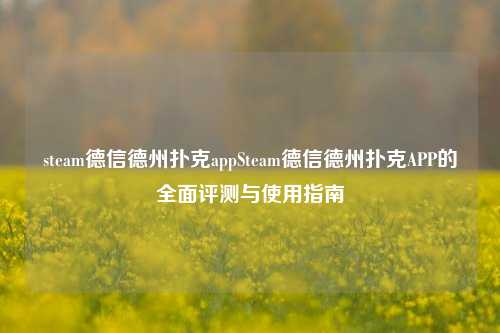 steam德信德州扑克appSteam德信德州扑克APP的全面评测与使用指南