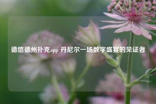 德信德州扑克app 丹尼尔一场数字盛宴的见证者