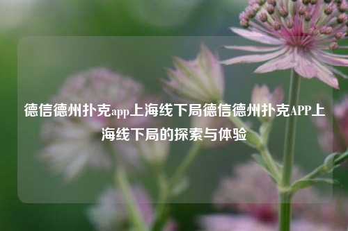 德信德州扑克app上海线下局德信德州扑克APP上海线下局的探索与体验