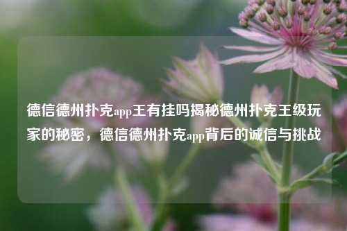 德信德州扑克app王有挂吗揭秘德州扑克王级玩家的秘密，德信德州扑克app背后的诚信与挑战