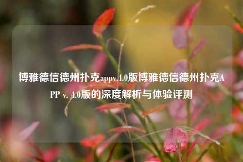博雅德信德州扑克appv.4.0版博雅德信德州扑克APP v. 4.0版的深度解析与体验评测
