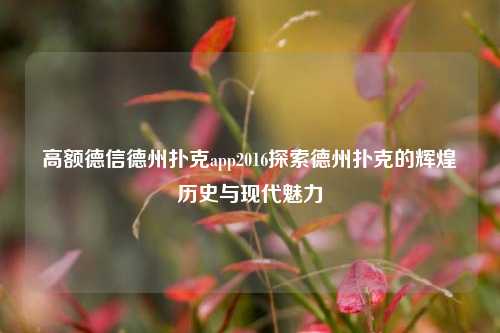 高额德信德州扑克app2016探索德州扑克的辉煌历史与现代魅力