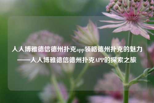 人人博雅德信德州扑克app领略德州扑克的魅力——人人博雅德信德州扑克APP的探索之旅